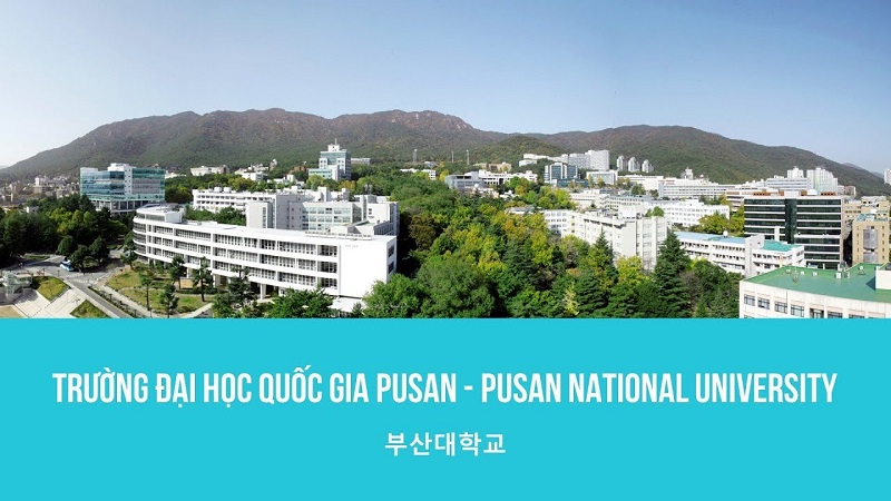Đại học Busan Hàn Quốc